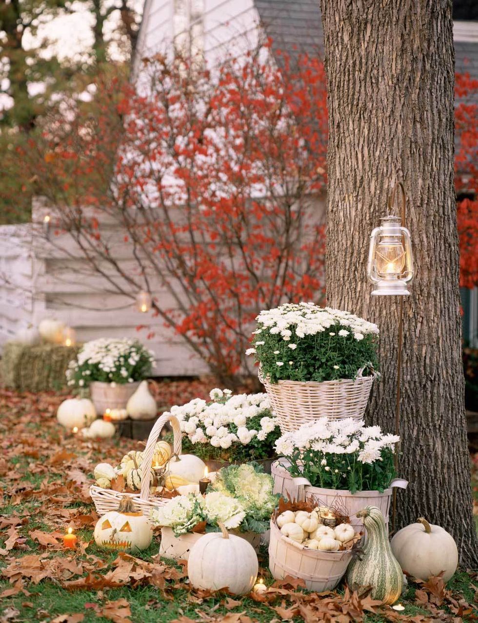<p>Coloca junto a un árbol varios cestos con flores, coles y pequeñas calabazas blancas. Sobre el suelo puedes colocar algunas de mayor tamaño, con la cara de Jack esculpida. Para iluminar, pon velas y faroles colgados. ¡Qué romántico!</p>