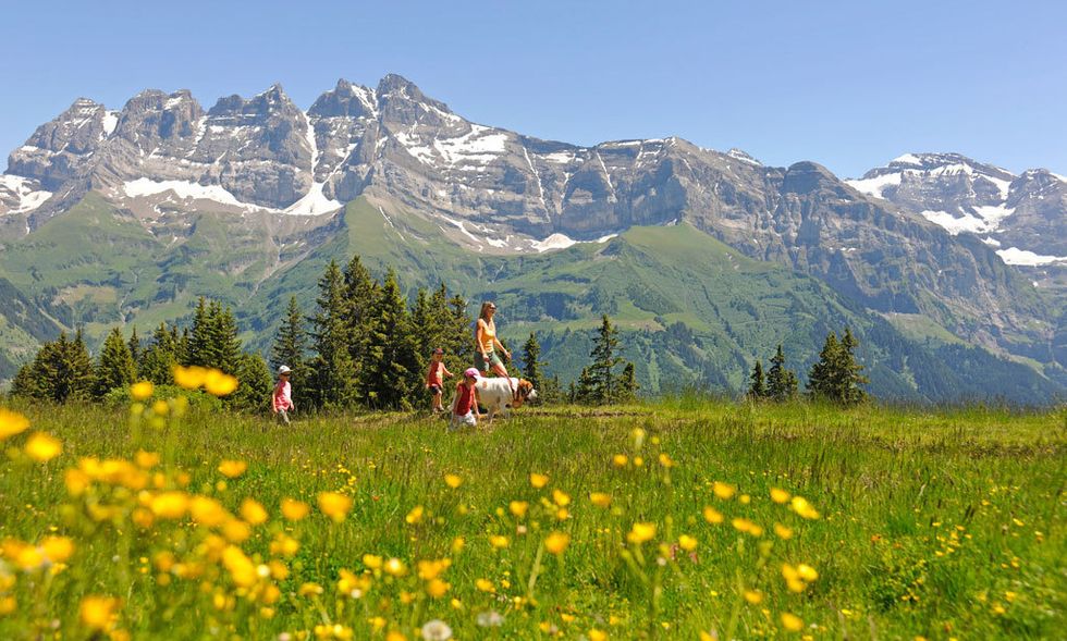 <p>
Martigny (<a href="http://www.myswitzerland.com" target="_blank">Suiza</a>).<br />Las montañas suizas son la patria de los San Bernardo, y en este escenario idílico te acordarás de Heidi y su inseparable perro. Desde el 2 de marzo hasta el 27 de abril, cada miércoles y sábado la Fundación Barry organiza itinerarios, perfectos para familias, en los que descubrirás campos y viñedos, acompañado siempre por estos magníficos canes. Una vez en Martigny se puede visitar el <a href="http://www.fondation-barry.ch" target="_blank">Musée et Chiens.</a>&nbsp;</p><p>
<strong>2. Diamante negro del bosque</strong>&nbsp;<br />
<a href="http://www.hotelalfonsosoria.com" target="_blank">Hotel Alfonso VIII</a> (Soria).&nbsp;&nbsp; <br />Tu espíritu gourmet quedará más que satisfecho en las Jornadas gastronómicas de la trufa, que tienen lugar entre febrero y marzo.&nbsp;El trufiturismo hace que más de un millar de personas acudan a tierras sorianas para buscar entre sus encinares el preciado hongo, y luego degustarlo de mil maneras posibles.&nbsp;Apúntate a la jornada de caza, una actividad para descubrir su recolección con un perro trufero.</p>