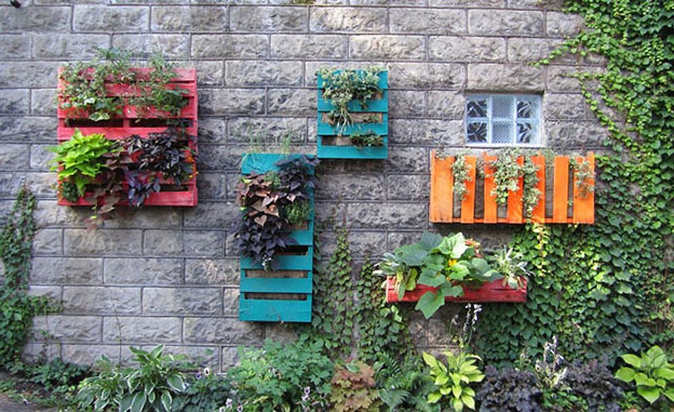 <p>Otra forma de reciclar palets es utilizarlos para darle vida a tus paredes, pintándolos con colores alegres y convirtiéndolos en vistosos jardines verticales. Es fácil y el resultado es espectacular.</p>
