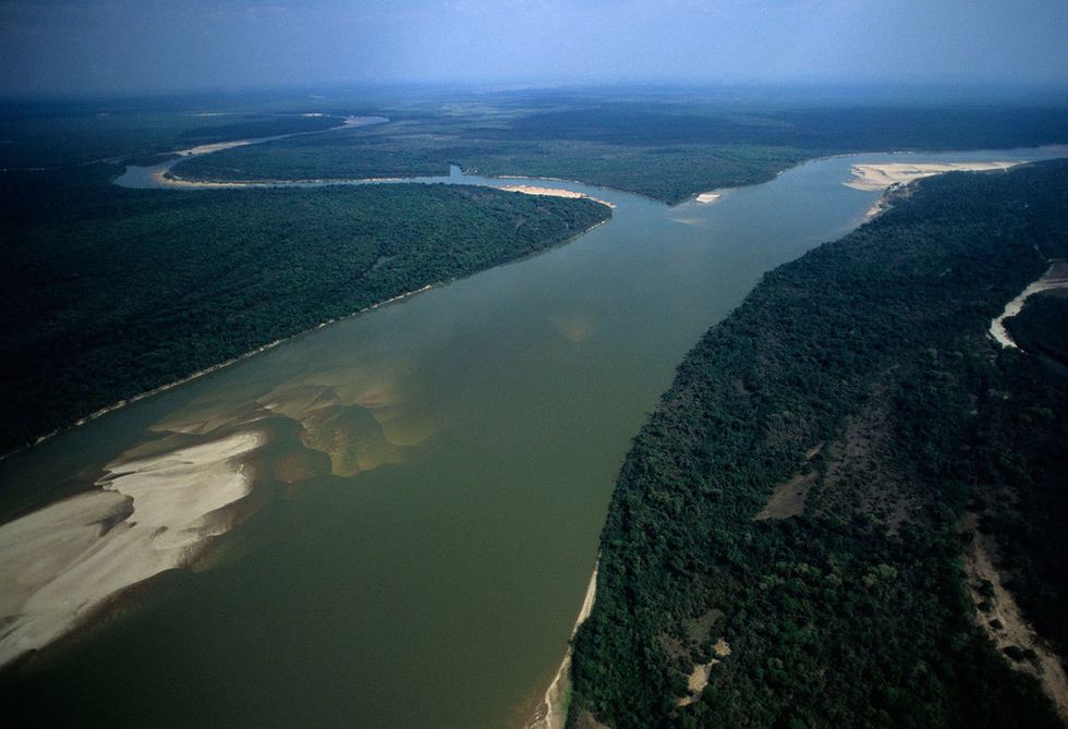 <p>La Amazonia, es decir, toda la jungla bañada por el río Amazonas, ocupa siete millones de kilómetros cuadrados entre Bolivia, Brasil, Colombia, Ecuador, Guayana Francesa, Guayana, Perú, Surina, y Venezuela. Supone casi la mitad del bosque tropical del planeta, y reúne el catálogo más amplio de especies tropicales del mundo. El Amazonas es el río más largo del mundo, con un caudal superior al de los diez más grandes del planeta.</p>