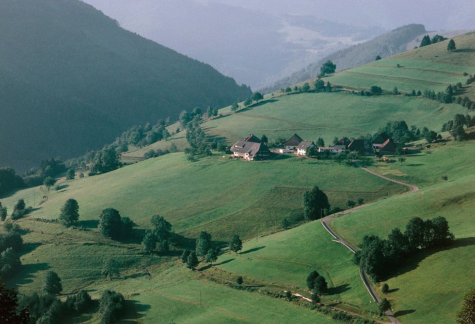 <p>Esta increíble cordillera boscosa se ubica al suroeste de Alemania, y está flanqueada por el Rhin en su frontera oeste y sur. No es demasiado grande; tiene forma rectangular, con una longitud de 200 km y un ancho de tan solo 60 kilómetros. El pico más alto es la montaña Feldberg (1.493 metros). Se dice que su nombre procede de la enorme cantidad de abetos que pueblan sus laderas y que da al paisaje un tono oscuro.</p>