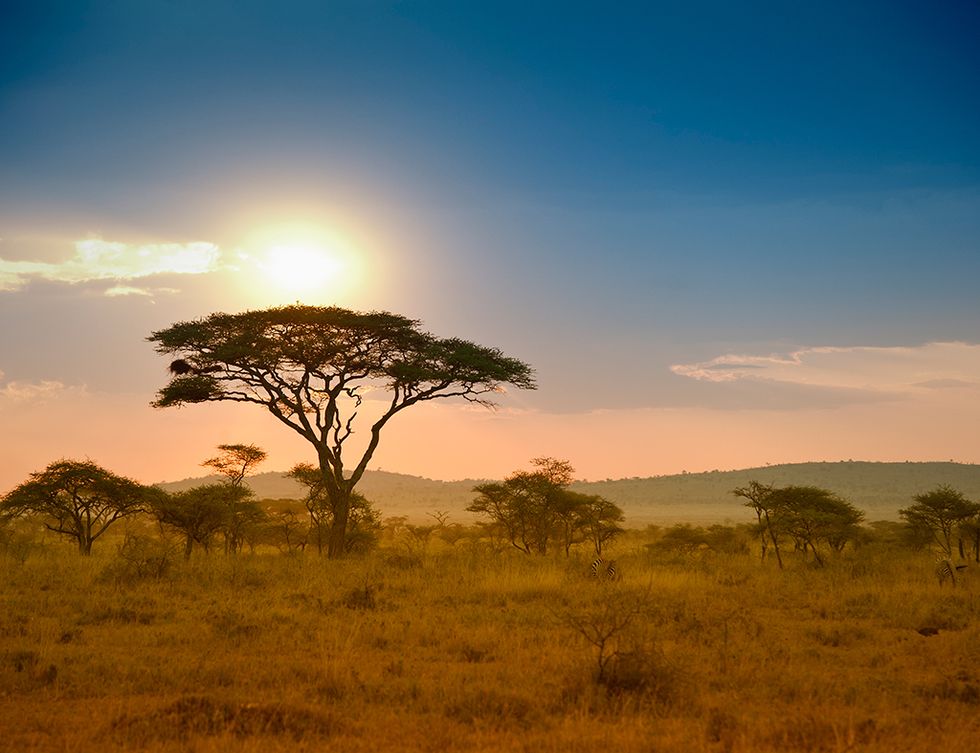 <p>Aprovecha octubre para ver animales en la temporada de 'lluvia corta' antes de que las carreteras se embarren tanto que no puedas recorrer el país. Sin calor y con la fauna a punto de caramelo, es un momento perfecto para recorrer el Serengeti (en la imagen), visitar las reservas del Rift y el lago Manyara, disfrutar de paisajes increíbles como el cráter de Norongoro, adentrarse en los secretos de los Masai y, cómo no, darse un buen baño en el Índico.</p>