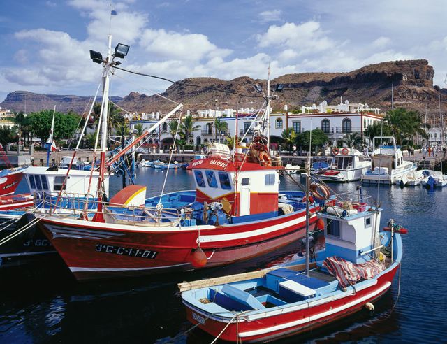 Barcos pesqueros en Puerto Mogán.