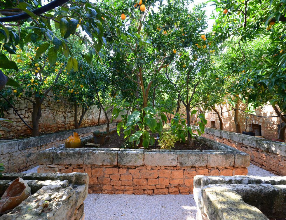 <p>En el jardín, naranjos y limoneros acompañan con su sombra.</p>