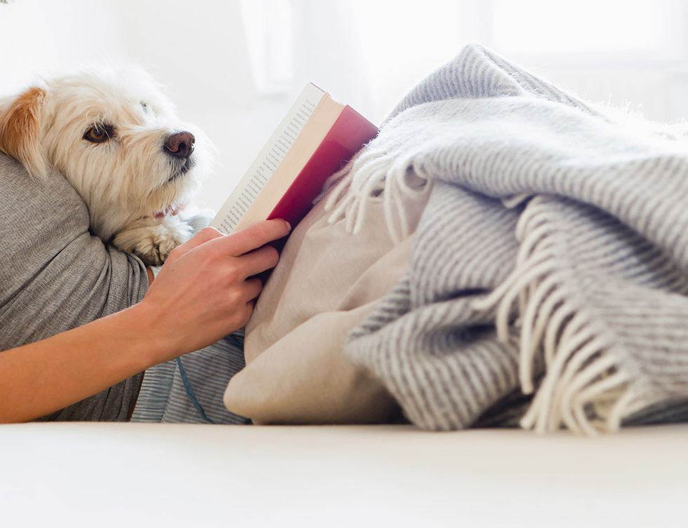 <p>Reserva las últimas horas del día para hacer una actividad que te permita desconectar: leer un libro, meditar... &quot;Tu cuerpo necesita tiempo para entrar en fase de sueño, una buena manera es dedicar la hora anterior a acostarse a hacer algo relajante&quot;, asegura la Sleep Foundation.</p>