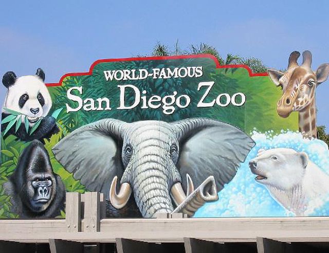 mejores zoos del mundo