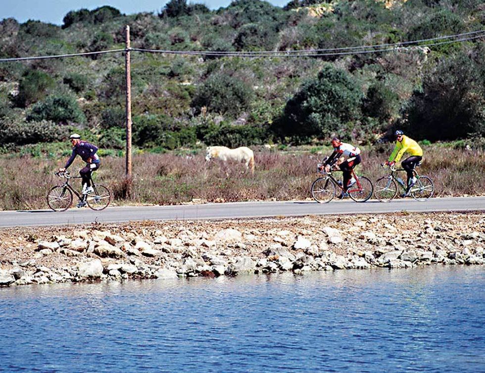 <p>Mallorca es perfecta para pedalear. Así lo demuestran los grandes equipos profesionales del ciclismo, que la eligen para entrenar la pretemporada.</p><p>&nbsp;</p>