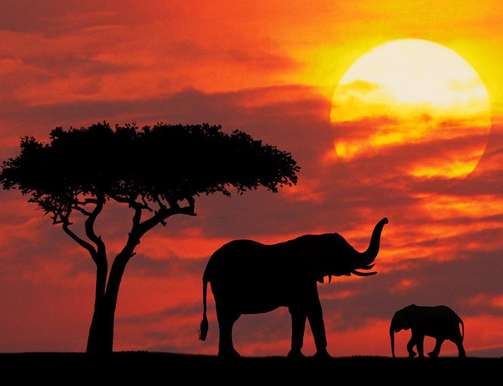 <p>Es pensar en un viaje por África y nos viene a la cabeza el atardecer perfecto. Para ver uno de los más impresionantes del continente africano, dirígete a la reserva natural de Masái Mara. La encontrarás en la región del Serengueti, al sudoeste de Kenia.</p>