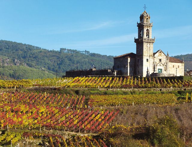 Iglesia de Santa María, rodeada de viñedos.