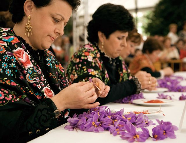 Mujeres de Consuegra trabajando la flor del azafrán.