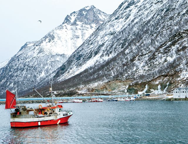 “Los paisajes en el Círculo Polar Ártico son espectaculares en invierno”.