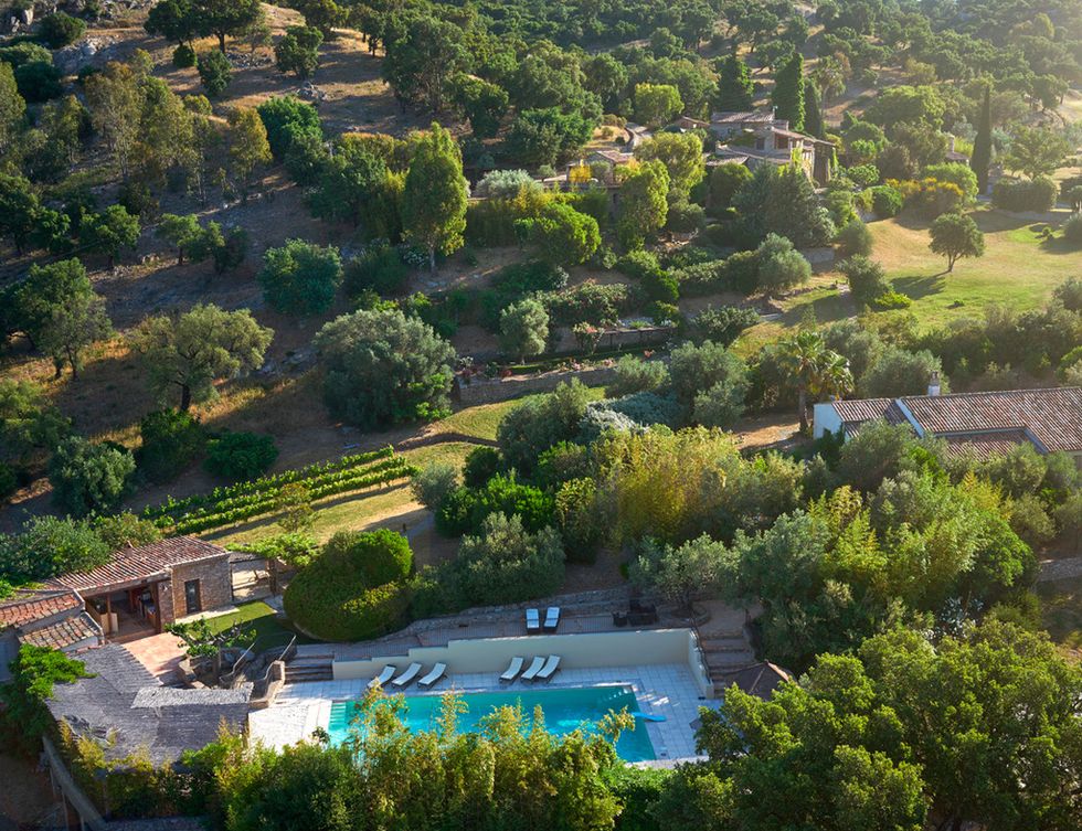 <p>En 2001, Johnny Depp compró toda una villa francesa de 37 hectáreas rodeada de viñedos y olivos cerca de la aldea de Plan-de-La-Tour a 17 millas al norte de St. Tropez.</p>