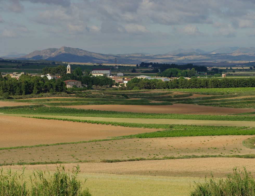 <p><strong>Fontanars dels Alforins,</strong> a un centenar de kilómetros de la capital del Turia, es la primera parada de nuestra luna de miel. Pertenece a un territorio, el de Los Alhorines, que fue testigo durante siglos de disputas por las localidades limítrofes&nbsp;(Ontinyent y Villena–) y en la que los Reyes Católicos tuvieron que intervenir para calmar las aguas.</p>