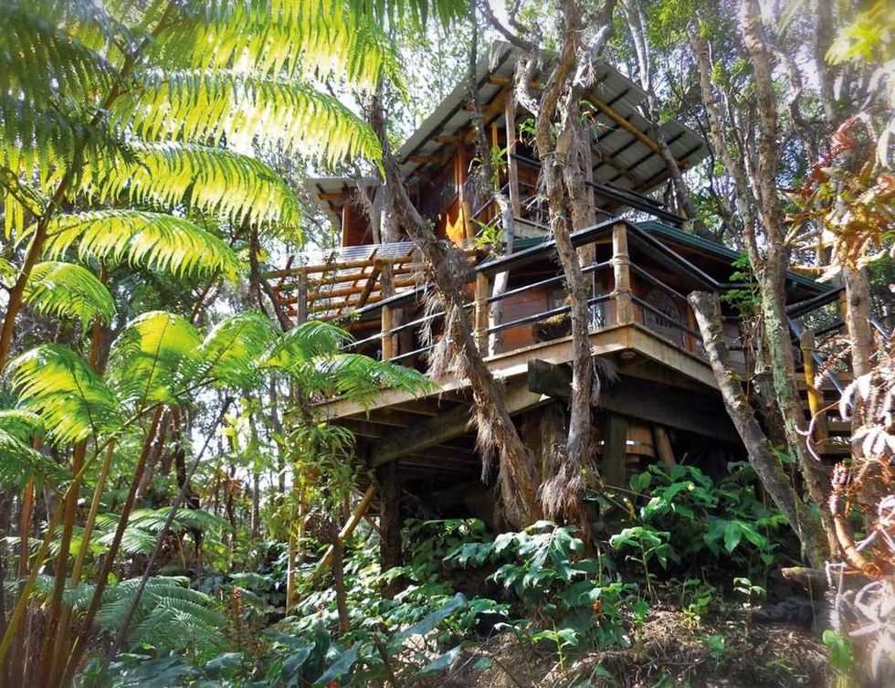 <p>Tu dormitorio es de bambú, tienes un jacuzzi de cedro y te despiertas entre las ramas de los árboles. Este nido de amor (desde 271 euros)se encuentra en el Parque Nacional del volcán Kilauea, en la isla de Hawai. Desde luego, es el lugar perfecto para observar la luna junto a alguien importante en tu vida y ya podemos vaticinar que será una experiencia increíble para ambos.</p><p><a href="http://www.homeaway.com/vacation-rental/p209810" target="_blank">Tree House Kilauea Volcano.</a> Volcano. Hawai (Estados Unidos).&nbsp;</p>
