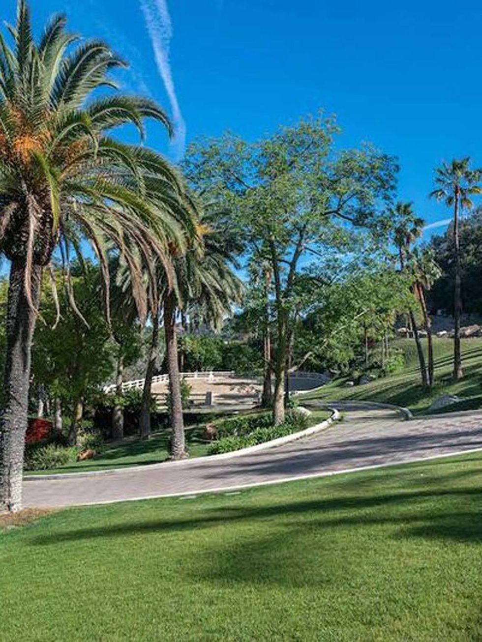 <p>La mansión está rodeada por un entorno natural espectacular, desde todas las estancias se pueden ver los árboles y palmeras que hacen compañía a la propiedad.</p>