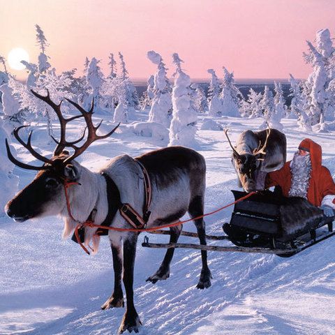 El trineo de Papá Noel, en tierras finlandesas.