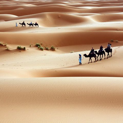 Desierto Sahara