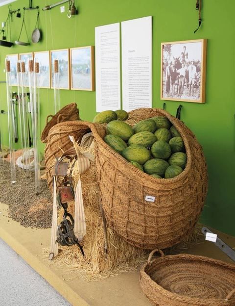 Museo del melón, en Villaconejos.
