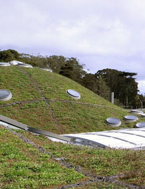 <p>Detalle del tejado viviente de la Academia de las Ciencias de California, del arquitecto italiano Renzo Piano.</p>
