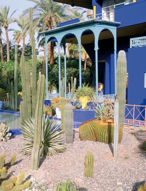 <p><strong>JARDÍN MAJORELLE:</strong> Este oasis de color ideado en los años 20 por el pintor francés Jacques Majorelle, y adquirido en los 70 por el diseñador Yves Saint Laurent, es un regalo para los sentidos y sede del Museo de Arte Islámico. </p>
