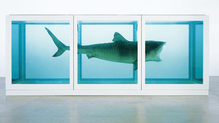 <p>Uno de los platos fuertes de la temporada: la ambiciosa retrospectiva del británico Damien Hirst que incluye, como no, sus famosos tiburones en formol. En la imagen, la obra &quot;The Physical Impossibility of Death in the Mind of Someone Living&quot;. ¿Dónde? <strong>En la Tate Modern  de Londres, desde el 4  de abril al 9 de septiembre.</strong> </p>