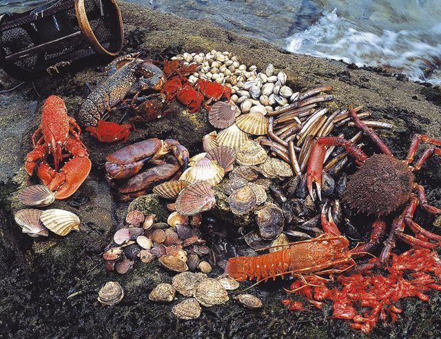 Platos tan diferentes como carnes y mariscos se puede degustar a lo largo del Camino.