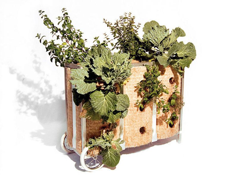 <p>Podrás cambiar de habitación tus verduras y flores con los parterres móviles  Urban Buds. Están fabricadas con fibras de kenaf, una planta de la India que  tiene&nbsp; la propiedad de re-tener la humedad. Desde 500 €.</p>