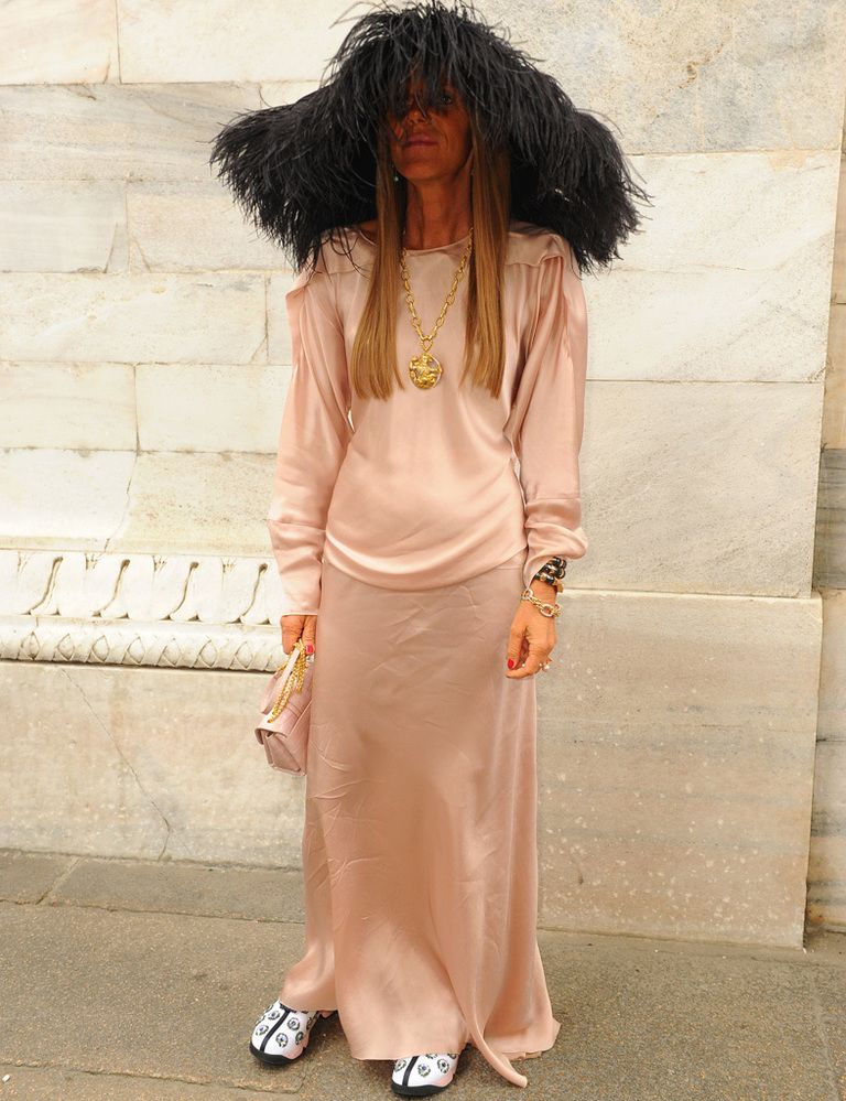<p>Solo<strong> Anna Dello Russo</strong> se atrevería a asistir al desfile de <strong>Roberto Cavalli</strong> con semejante pamela de plumas negras, combinada con un vestido largo rosa palo, bolso del mismo color y zapatillas.&nbsp;</p>
