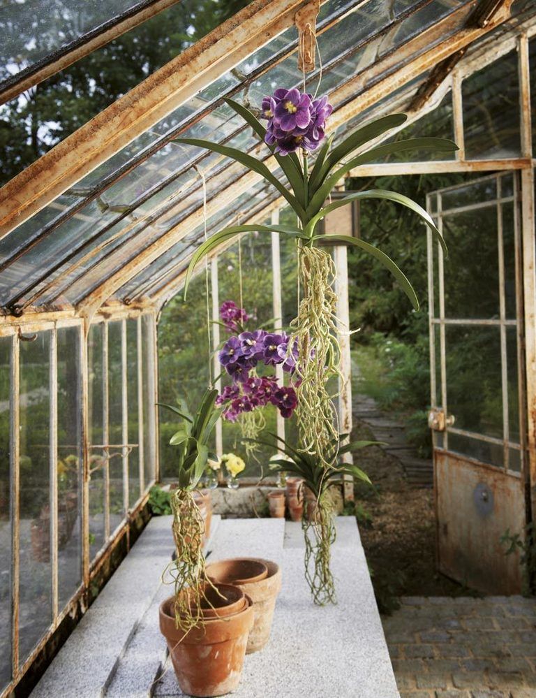 <p>Las plantas artificiales dan mucho juego: al no necesitar mantenimiento, pueden colgarse del techo directamente con un cordel. Éstas, de Sia, son unas orquídeas con raíces a la vista que dan una imagen muy salvaje.</p>