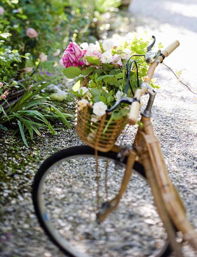 <p>La bici se ha convertido en <strong>la mejor amiga de las calebrities.</strong> Hazte con la tuya y te asegurarás un cuerpo en forma, un medio de transporte ecológico y un montón de experiencias increíbles. Como el <a href="http://www.hotelartsbarcelona.com/es/" target="_blank"><strong>Arola Biking</strong></a>, una iniciativa por la que te llevan una bici a casa para que vayas pedaleando al restaurante Arola. O <a href="http://thetravellingginco.tumblr.com/" target="_blank"><strong>The Travelling Gin Co</strong></a>, un bar móvil que se mueve a golpe de pedal en Londres y que te permitirá recorrer la ciudad y disfrutar de los mejores gin tonics. <strong>Psst. Alquilar una bici es la mejor opción</strong> para descubrir cualquier ciudad del mundo. Comprarte una, la mejor inversión en tu salud y la del medioambiente.</p><p>&nbsp;</p>
