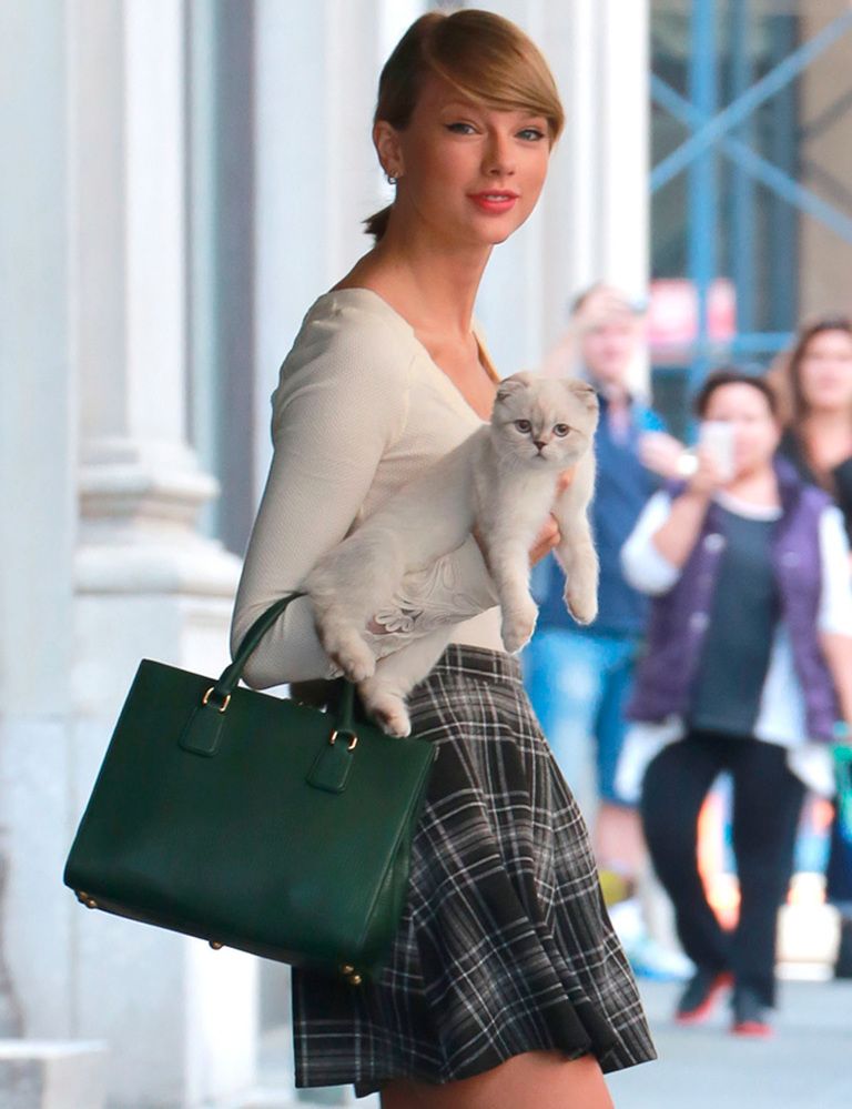 <p><strong>Taylor Swift</strong> no se separa de su pequeño gatito blanco. No nos parece raro porque la verdad es que no puede ser más mono.&nbsp;</p>