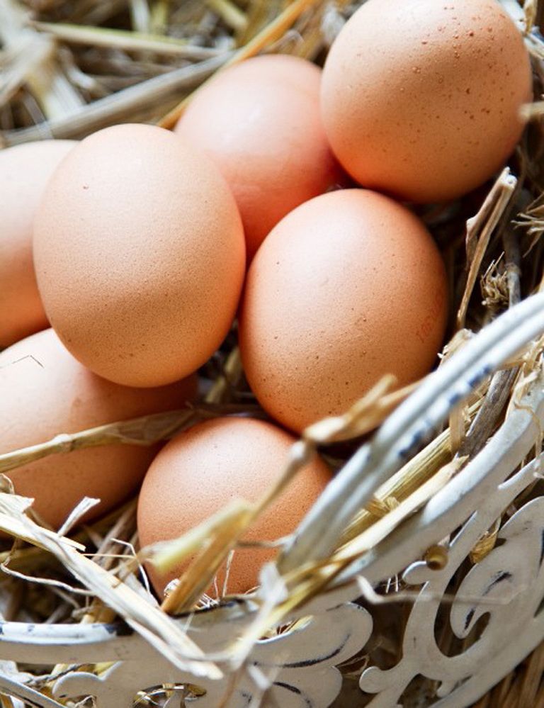 <p>&nbsp;“El color de la cáscara es otro de los aspectos que más interés despierta, pero <strong>en ningún caso va a influir en la calidad del huevo</strong>”, dicen desde <a href="http://www.yocomobien.es" target="_blank">Yocomobien.es</a>. De hecho, el color viene determinado por el plumaje de la gallina. “Antes se consumían más los huevos blancos, pero se empezó a relacionar el color moreno con el ámbito rural y se pusieron de moda, aunque <strong>no existe ninguna diferencia nutricional entre ambos</strong>”, aclaran.</p><p>&nbsp;</p>