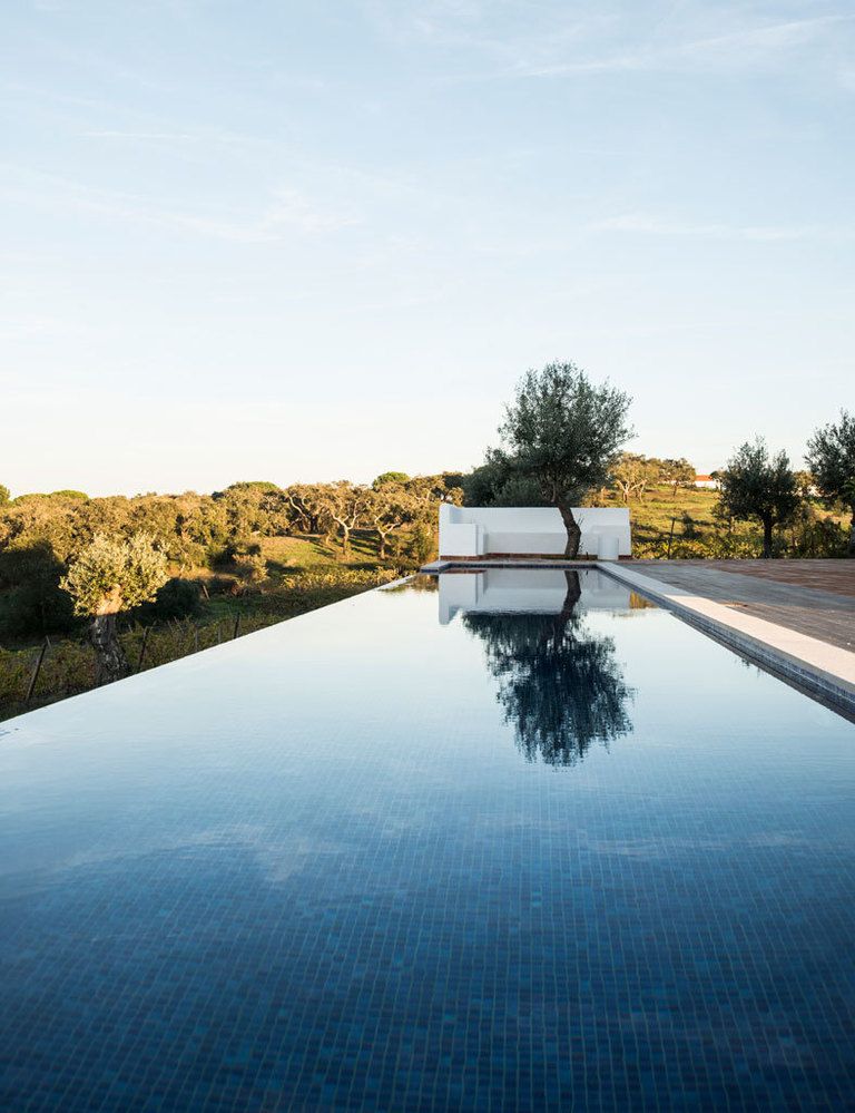 <p>La piscina se funde con el paisaje propio de la zona, un mar de olivos y viñedos.</p>