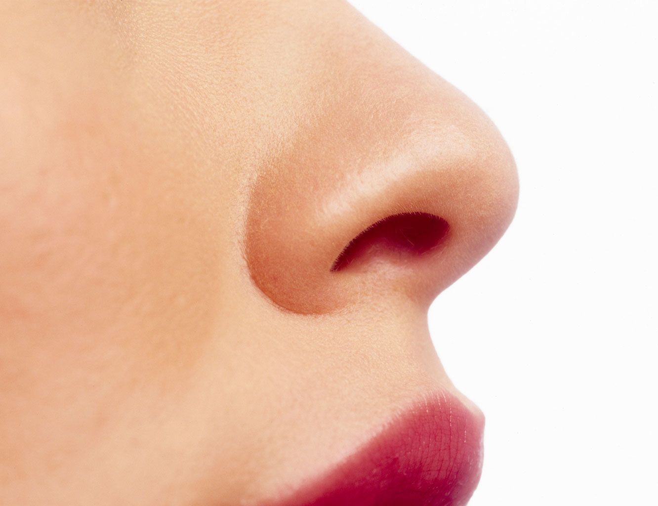 Покажи картинки носа. Нос. Человеческий нос. Нос картинка.