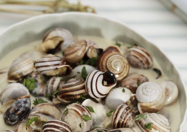 Shell, Natural material, Molluscs, Fawn, Snails and slugs, Recipe, Spiral, Bivalve, Seafood, Side dish, 