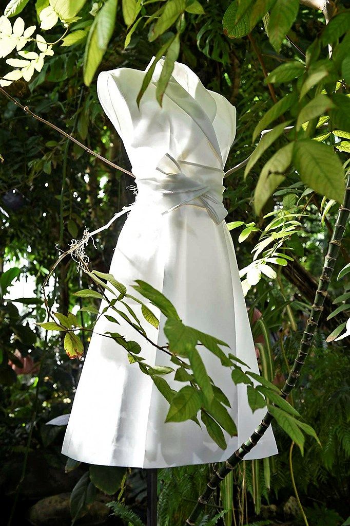 Dress, White, One-piece garment, Day dress, Wedding dress, Twig, Mannequin, Gown, Bridal party dress, Plant stem, 