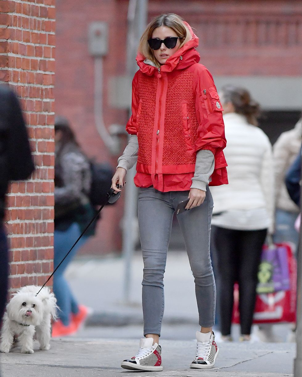 Dog breed, Trousers, Dog, Carnivore, Textile, Outerwear, Red, Leash, Street, Style, 