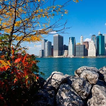 Otoño en Nueva York