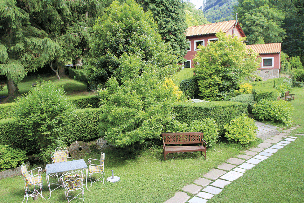 Plant, Tree, Garden, Shrub, Outdoor furniture, Lawn, House, Groundcover, Yard, Backyard, 