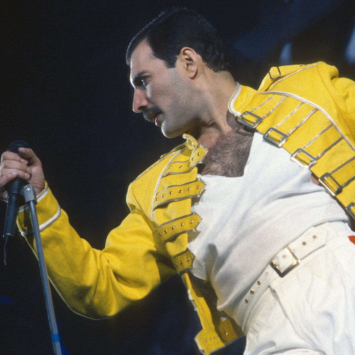 Freddie Mercury, en 10 'looks' Freddie Mercury, en 10 'looks'