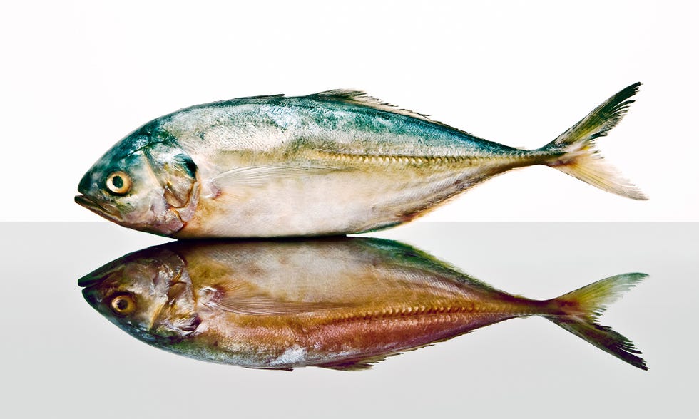 pepe solla, cocinero del restaurante casa solla te enseña a hacer recetas de pescado al horno y a la plancha