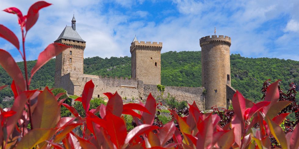 Castle, Red, Flower, Plant, Fortification, Wall, Coquelicot, Château, Building, Tourism, 