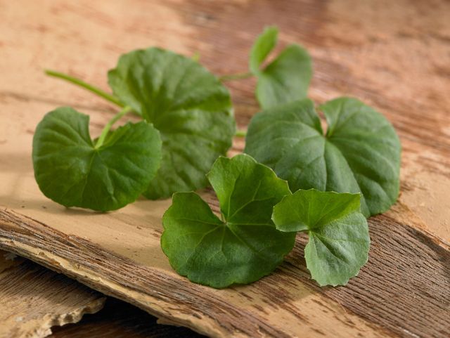 Wood, Green, Leaf, Hardwood, Annual plant, Herb, Herbaceous plant, Parsley family, Plywood, Clover, 