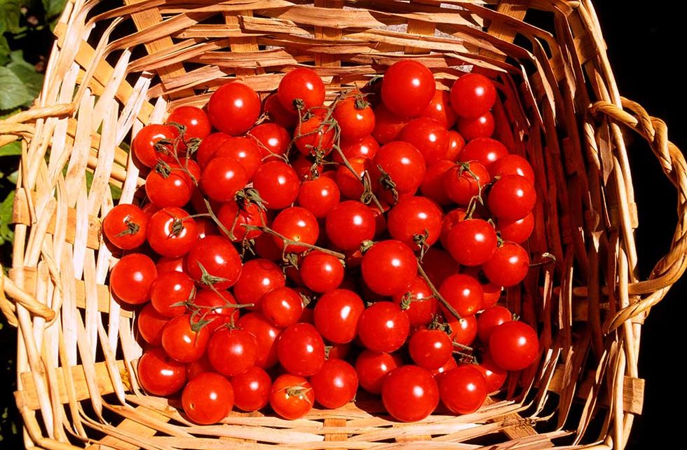 Natural foods, Fruit, Local food, Food, Plant, Seedless fruit, Produce, Tomato, Solanum, Currant, 