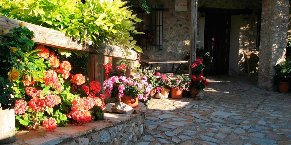 Flower, Floristry, Plant, Floral design, Flower Arranging, Building, Flowerpot, Street, Window, Cobblestone, 