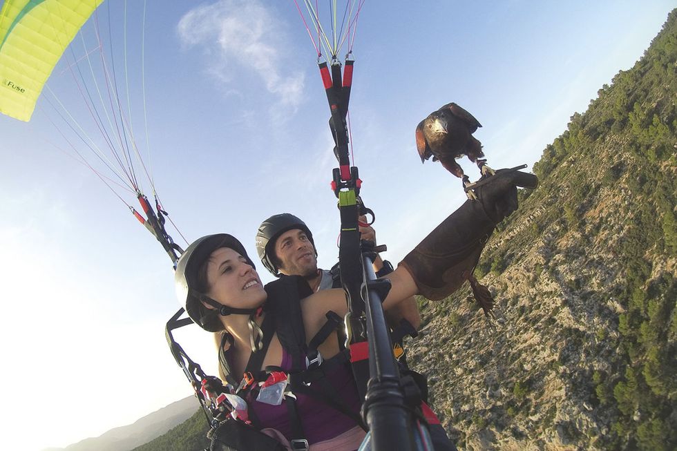 Paragliding, Air sports, Fun, Extreme sport, Windsports, Parachuting, Sky, Leisure, Adventure, Parachute, 