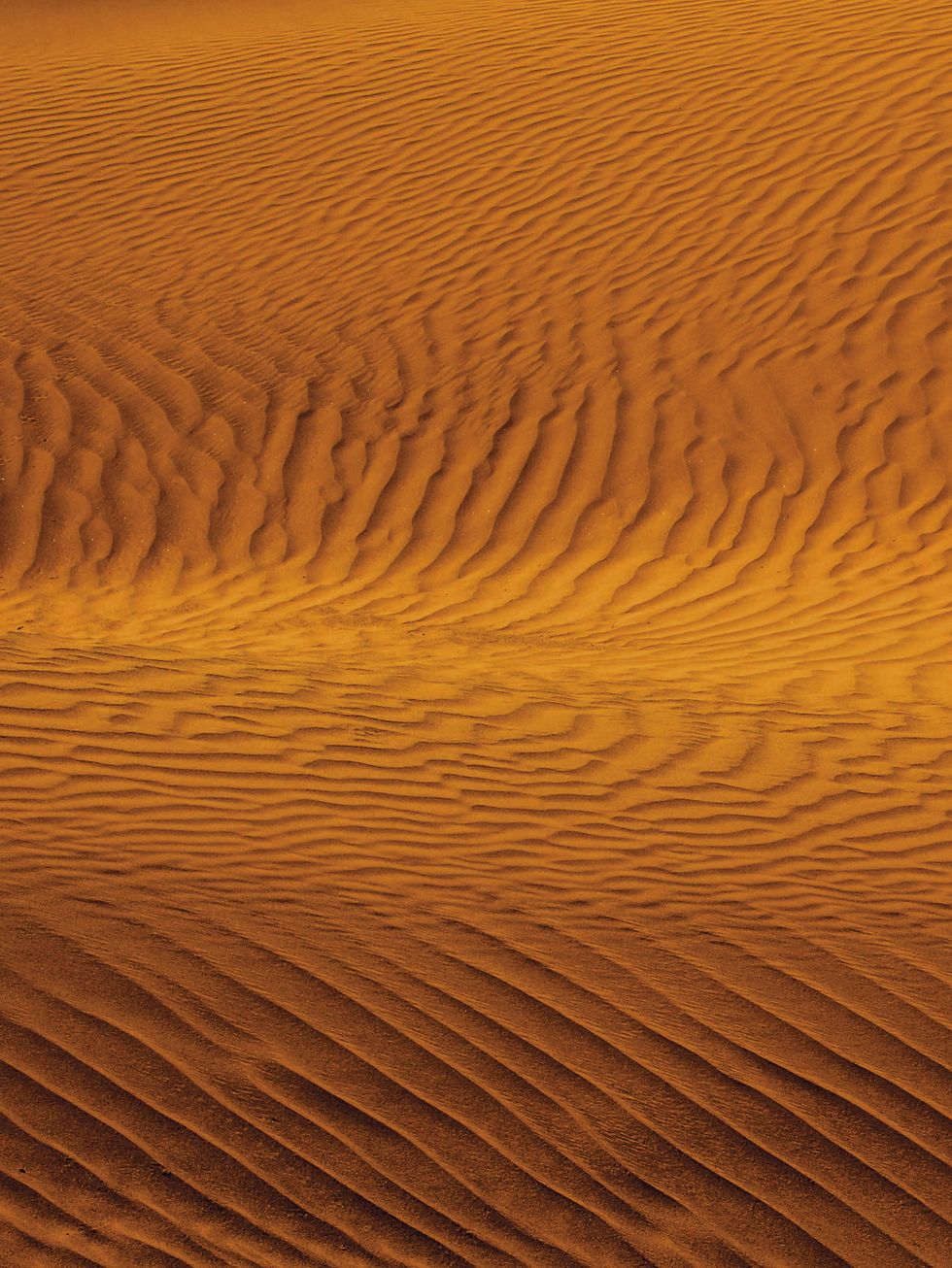 Desert, Erg, Natural environment, Sand, Orange, Dune, Aeolian landform, Yellow, Brown, Sahara, 