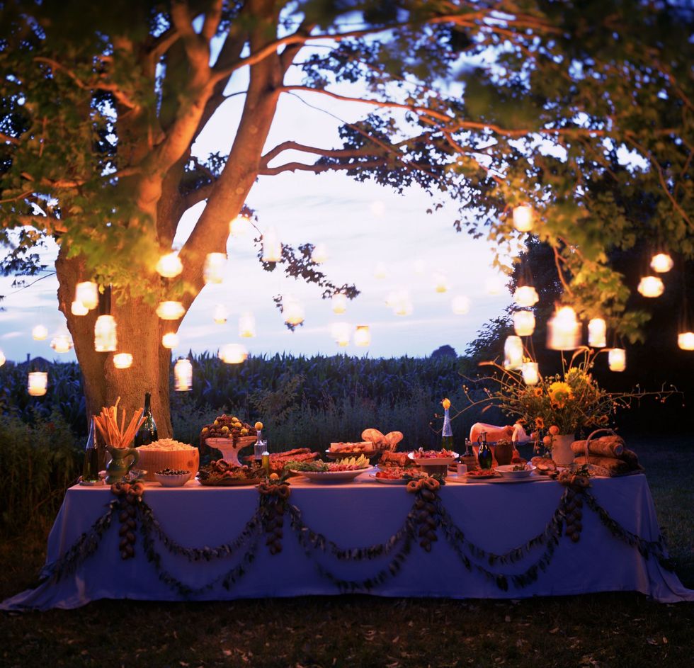 Lighting, Light, Evening, Tree, Event, Branch, Photography, Tints and shades, Landscape, Ceremony, 