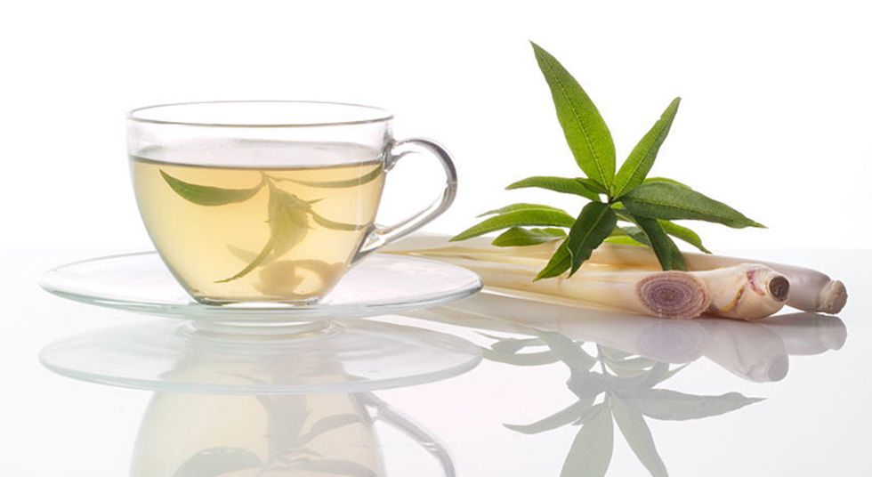 Drink, Leaf, Herbal, Plant, Glass, Tea, Herb, Flower, Teacup, Kuding, 