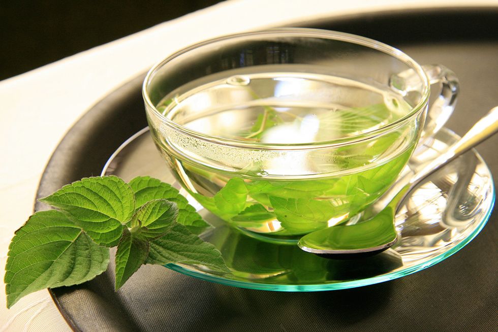 Mint, Green tea, Herbal, Drink, Chinese herb tea, Peppermint, Herb, Spearmint, Plant, Glass, 